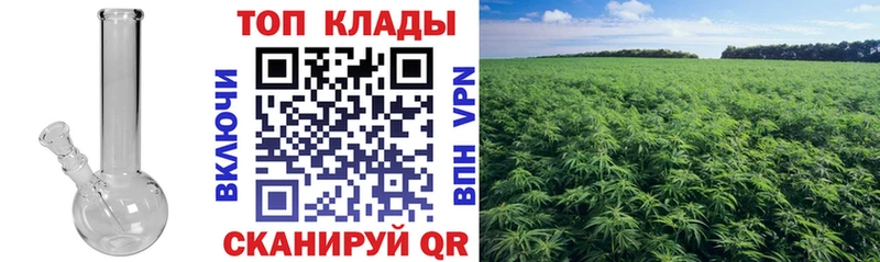 Купить наркотик Новоалександровск Alpha-PVP  Cocaine  МЕФ  ГАШ 