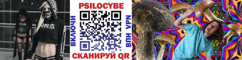 OMG ТОР  Новоалександровск  Псилоцибиновые грибы ЛСД 